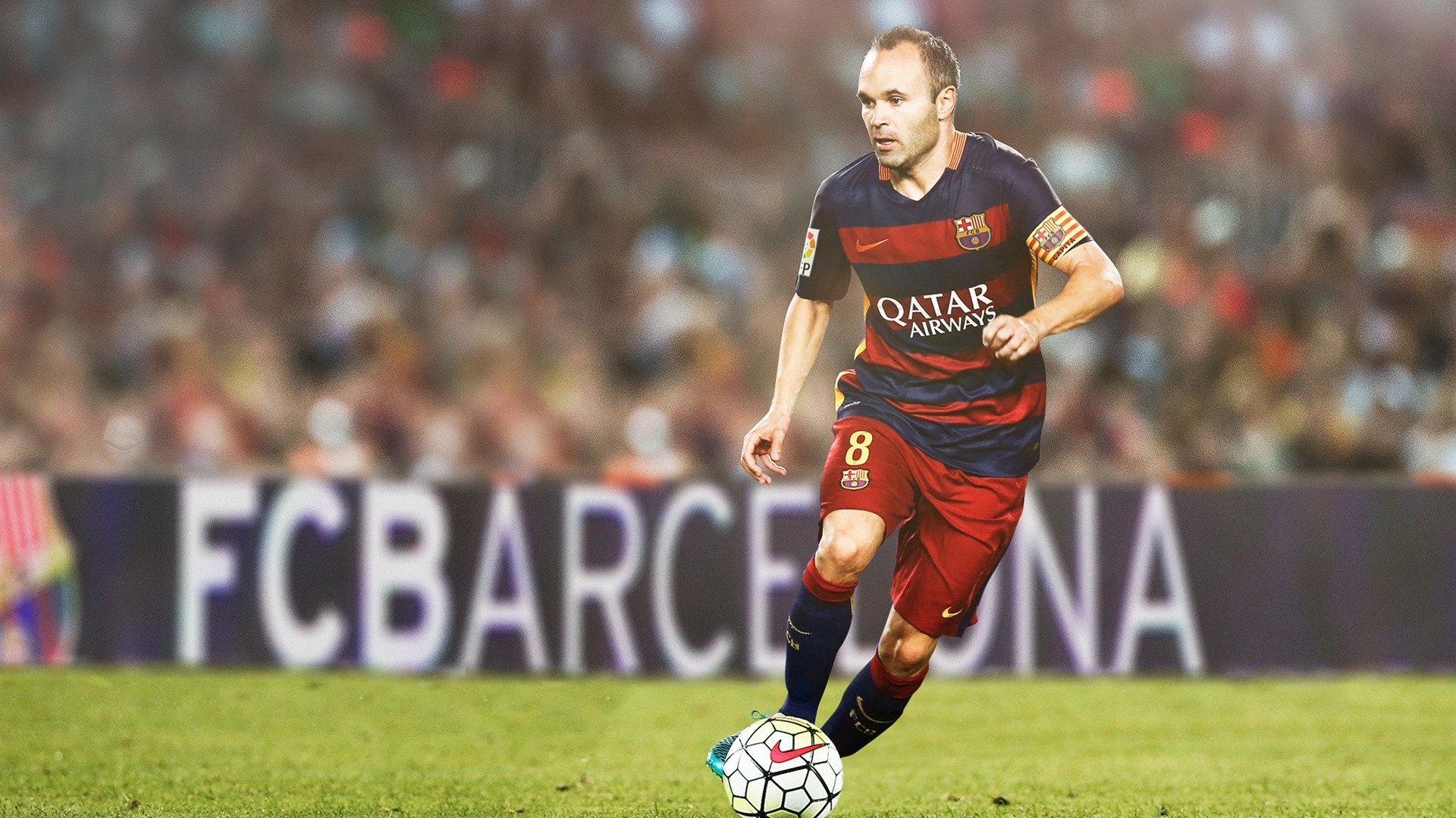 蝶泳赛场希腊节奏精准有力，蝶泳的比赛视频